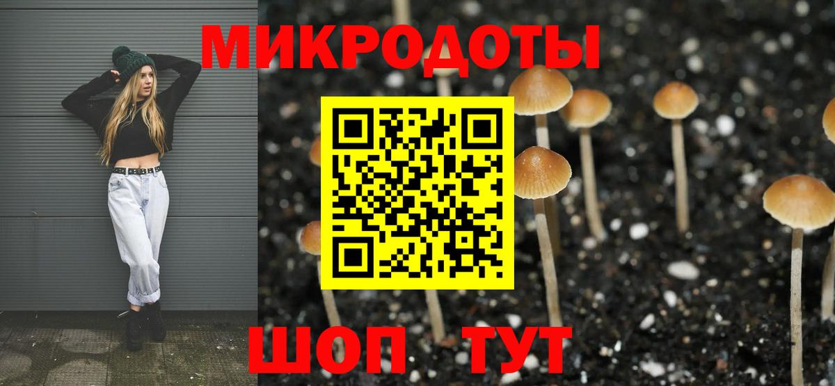 Орск  Галлюциногенные грибы MAGIC MUSHROOMS  где продают   Вход с VPN 